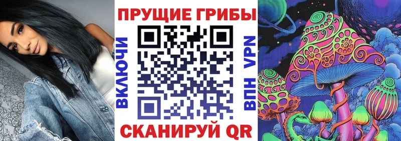 Галлюциногенные грибы мицелий  Козьмодемьянск 